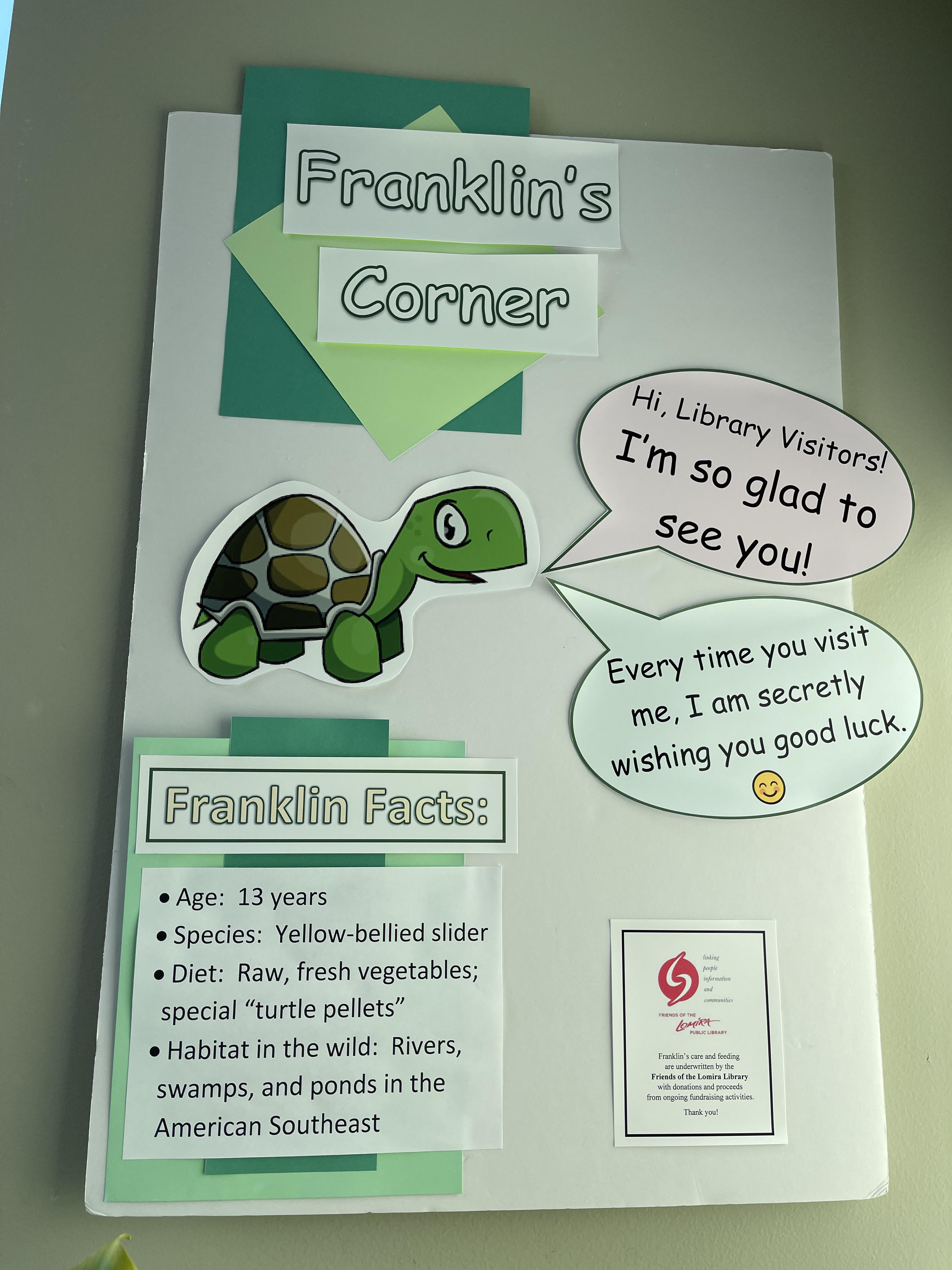 Franklin the turtle poster at the Lomira Quad/Graphics Community Library.