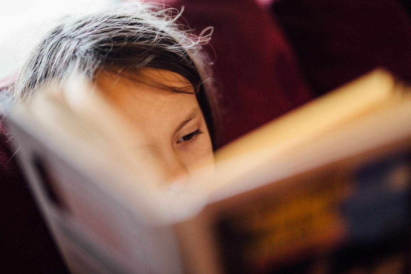 Young reader holding a book.